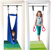 DreamGym Swing and Trapeze indoor kids doorway gym