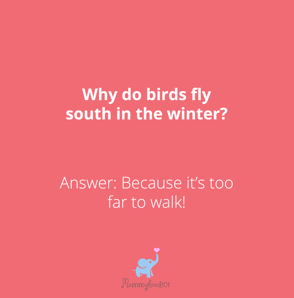 kids jokes about winter