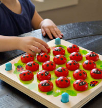 ladybug memory game