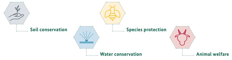 sustainable farming holle
